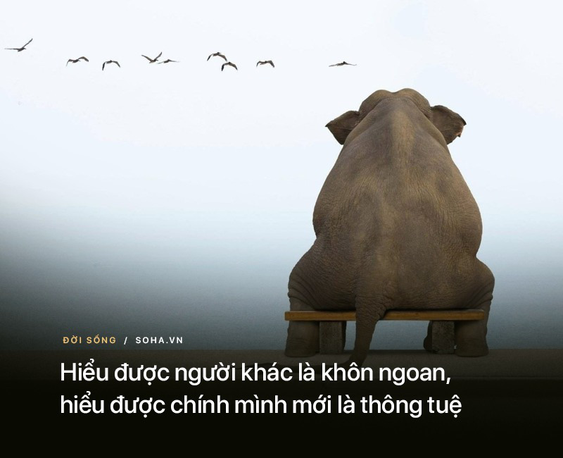 72dd7fc1bdcd5c4d17c1.jpg