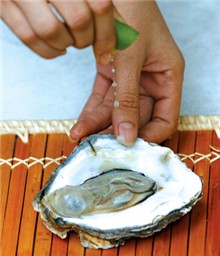 72decc990e85454599d3.jpg