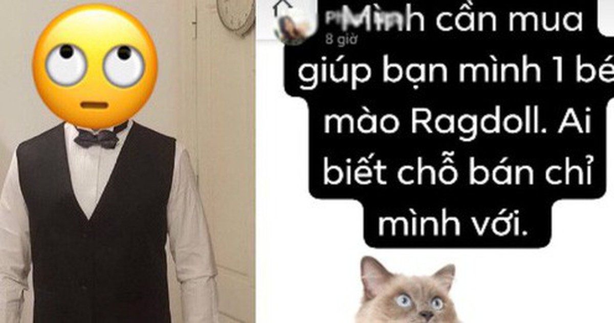 72f4153129046fe41b25.jpg