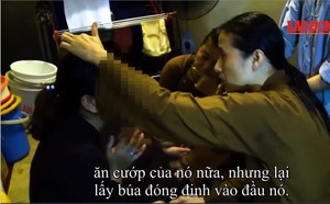 733bb76a33810b6a3b4b.jpg