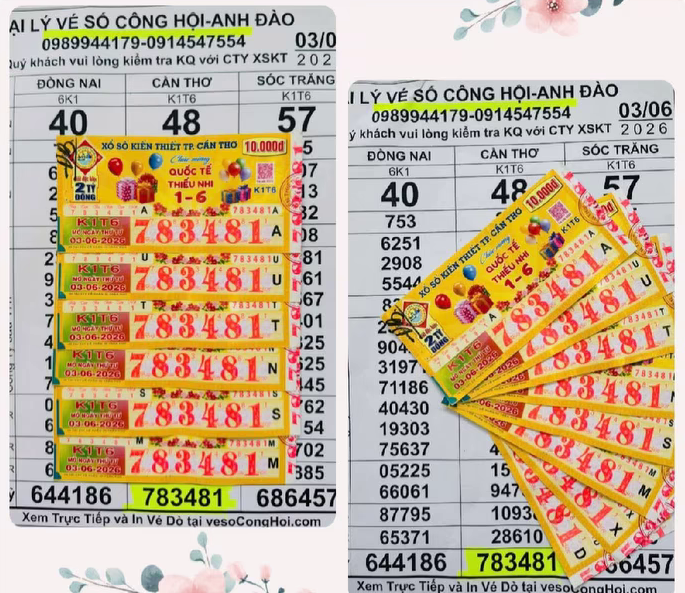 733cc2273cc8532dedd7.png