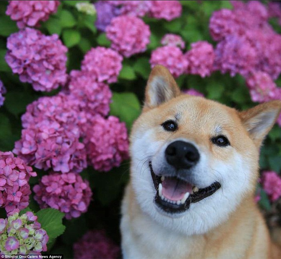 735a0b3e3af17443ebf8.jpg