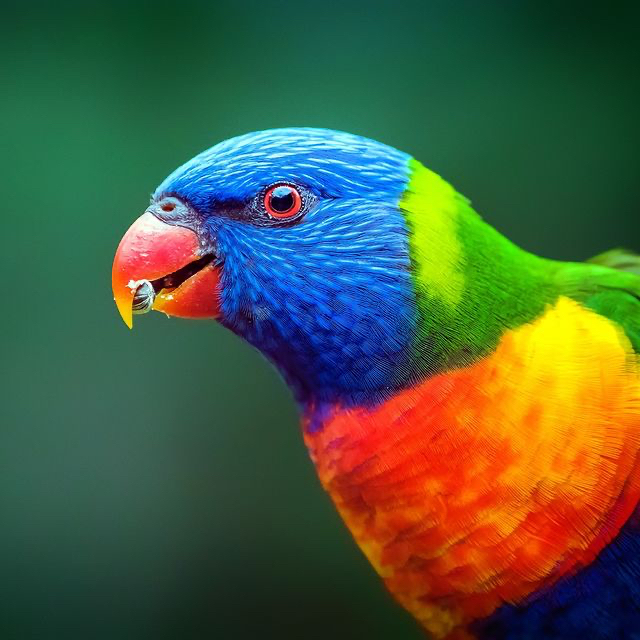 737c24b564f5611beab4.jpg
