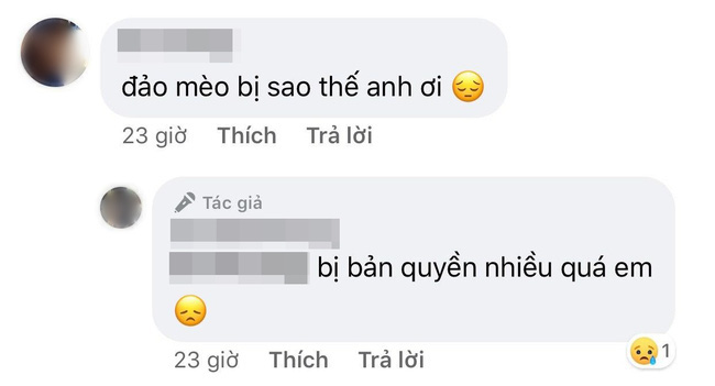 73db6e6e5c1624da3475.jpg