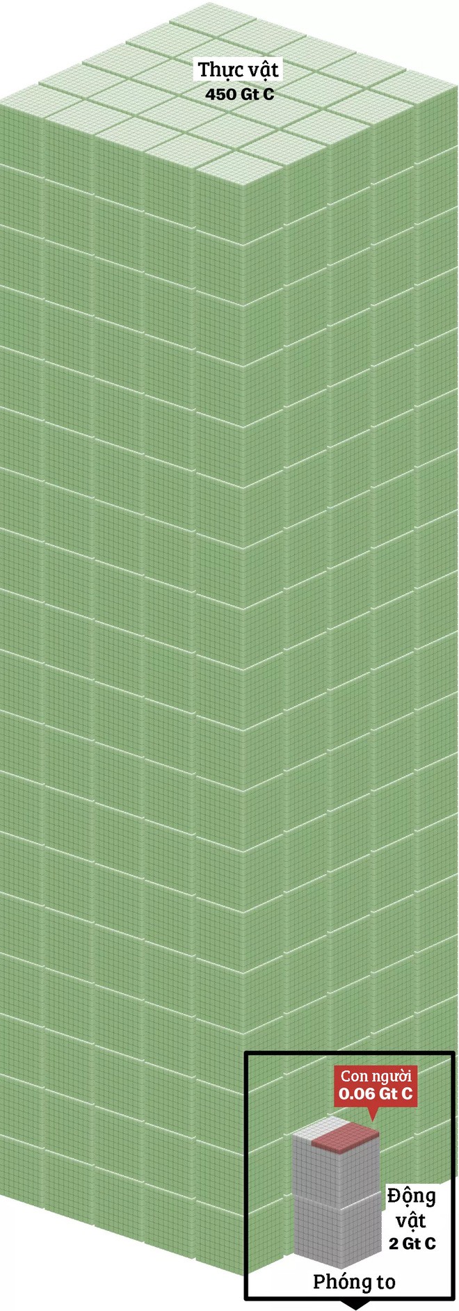 73f6ab99f7a1d2dc4f43.jpg
