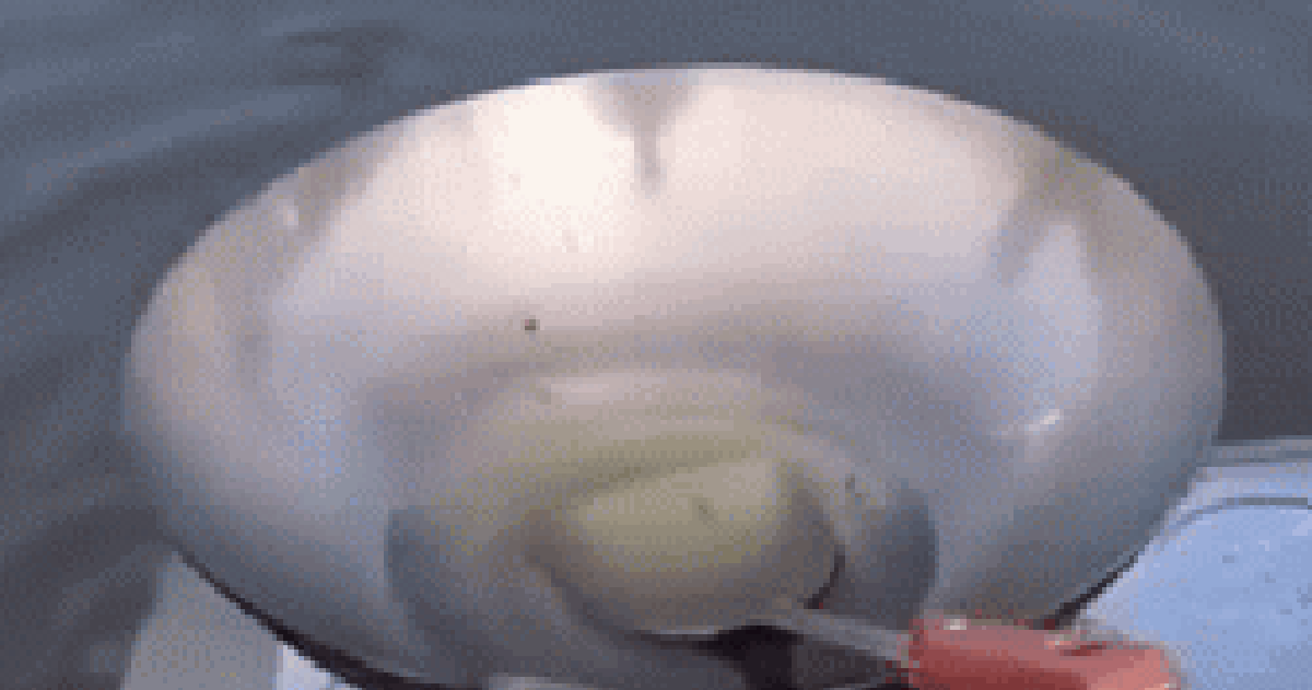 740752241bfca4c63007.png