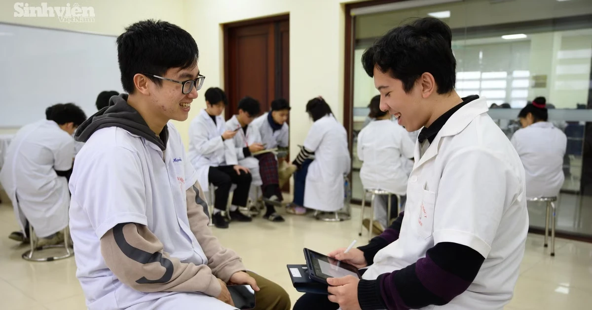 74081debe661c5b1e623.webp