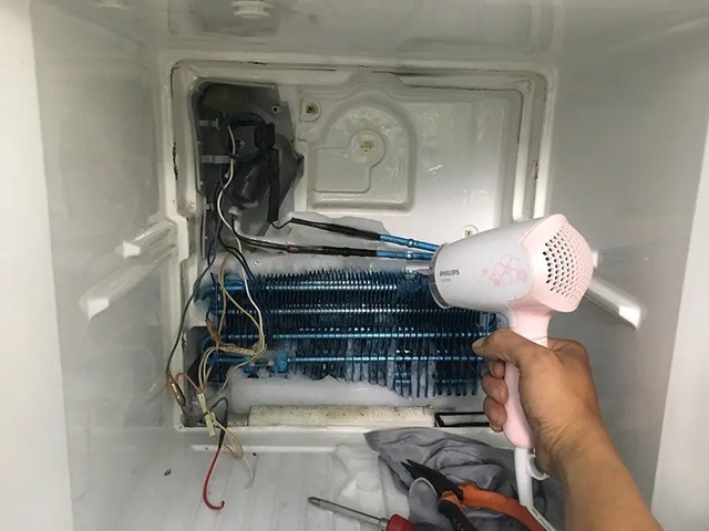 740b6a209d6a64307d21.jpg