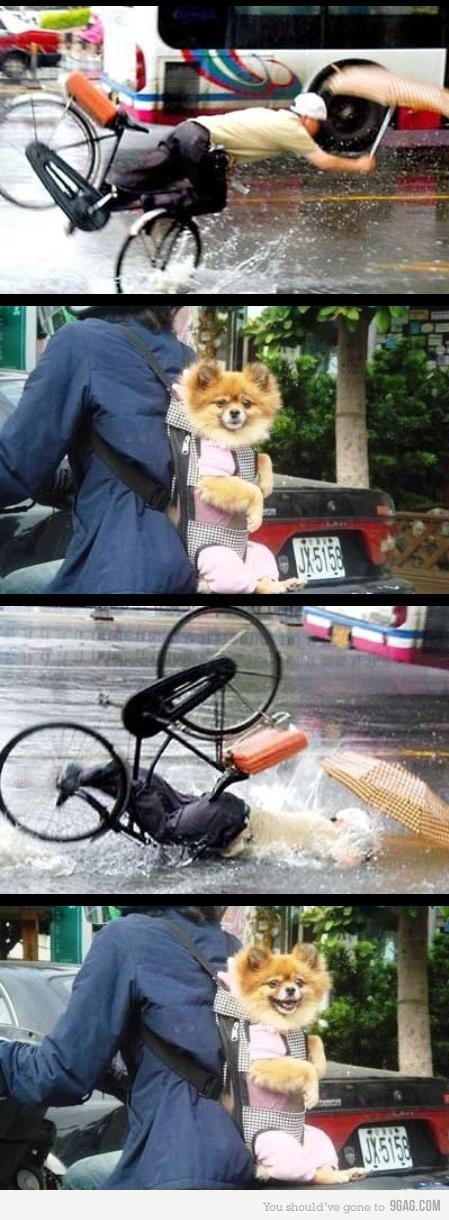 74369d5f3e2e6f5f30c9.jpg