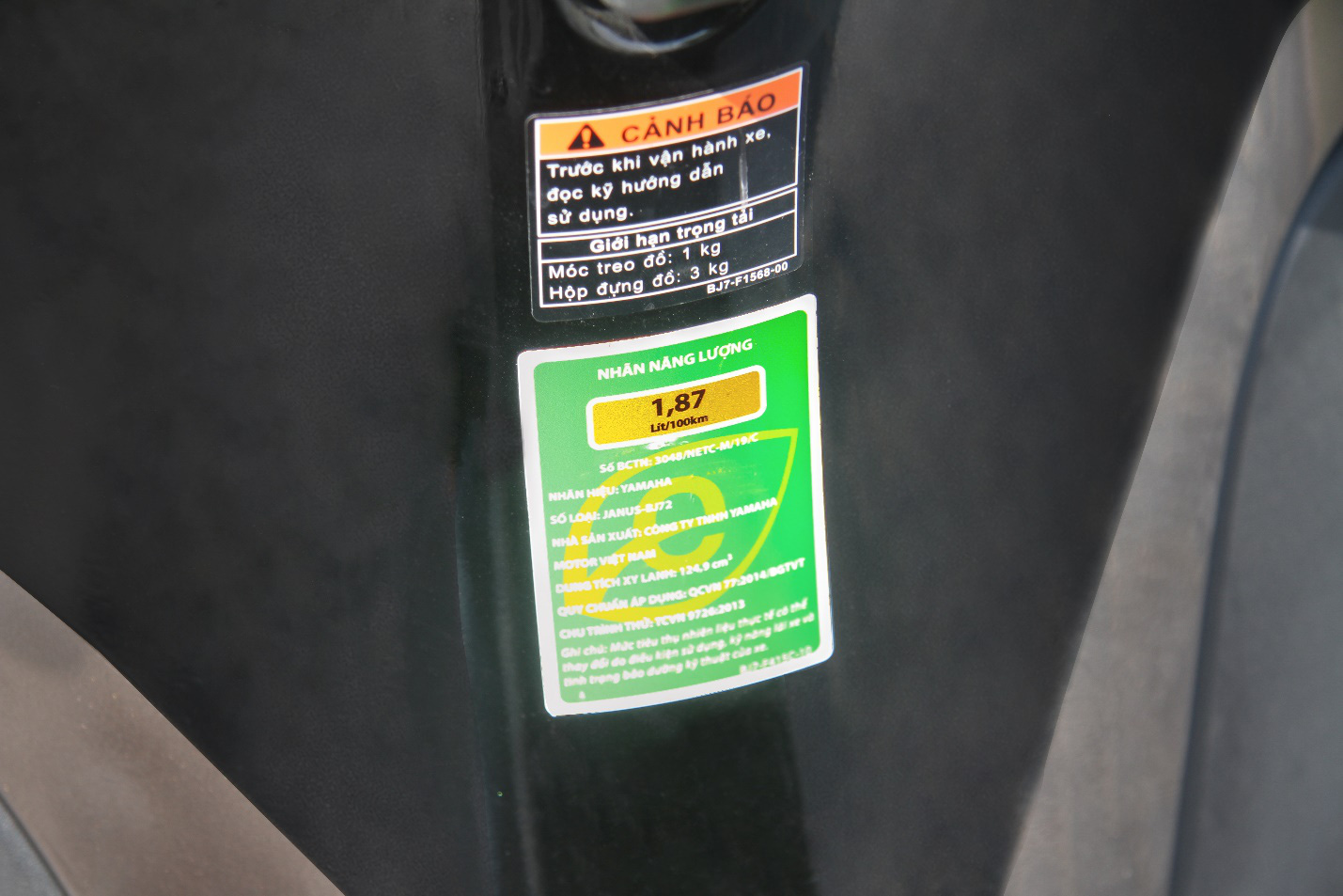 750fbee2e95b91ac532b.jpg
