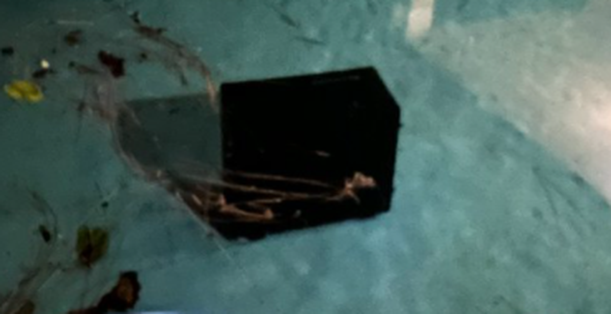 753e42d301593a2c0452.png