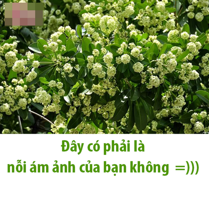756f4c1469aad8622288.png