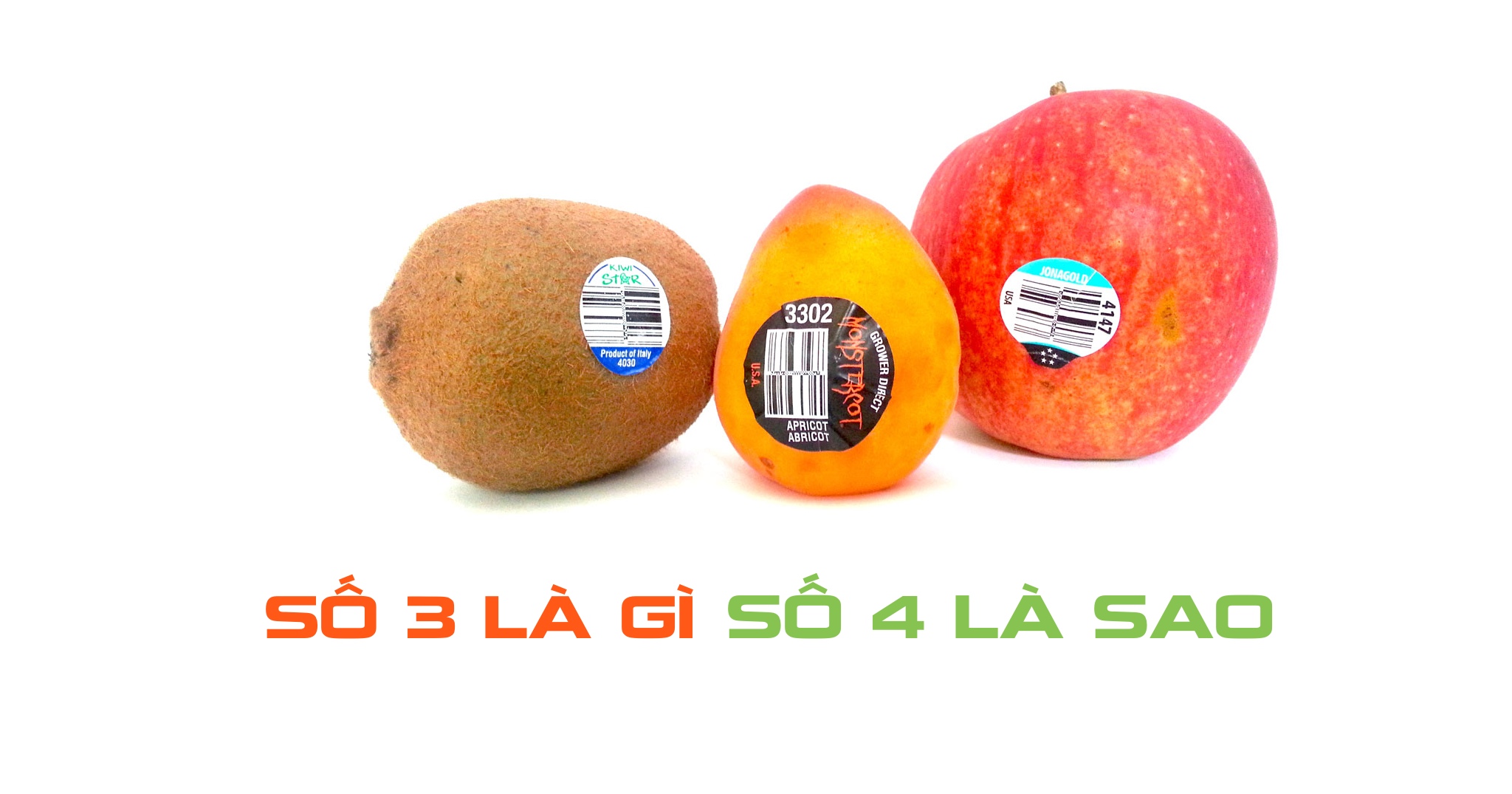 75a4bb8fc43772b9c107.jpg