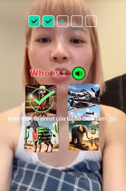 75e54a9840636903b262.png