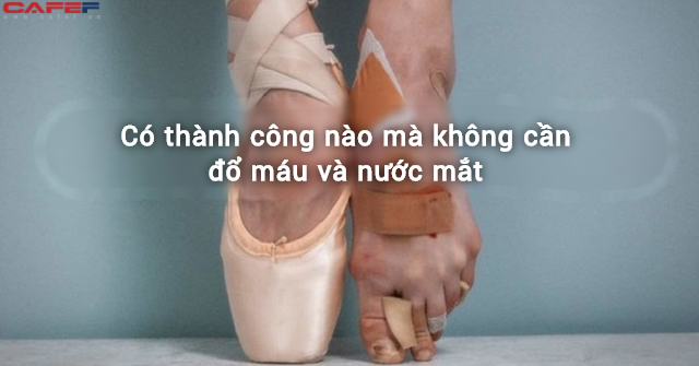 75ff8e90ad219c953bc1.png