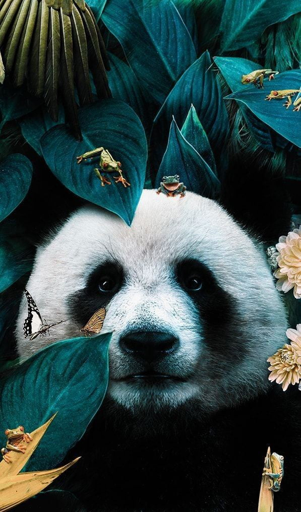 Lovely | Viết bởi Duy Nguyễn 2021