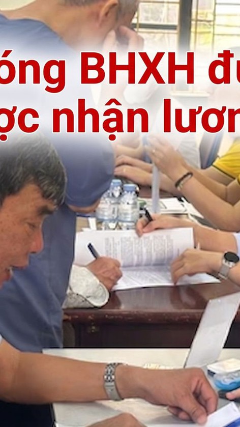 766cca55a8e5bbb0319a.jpg