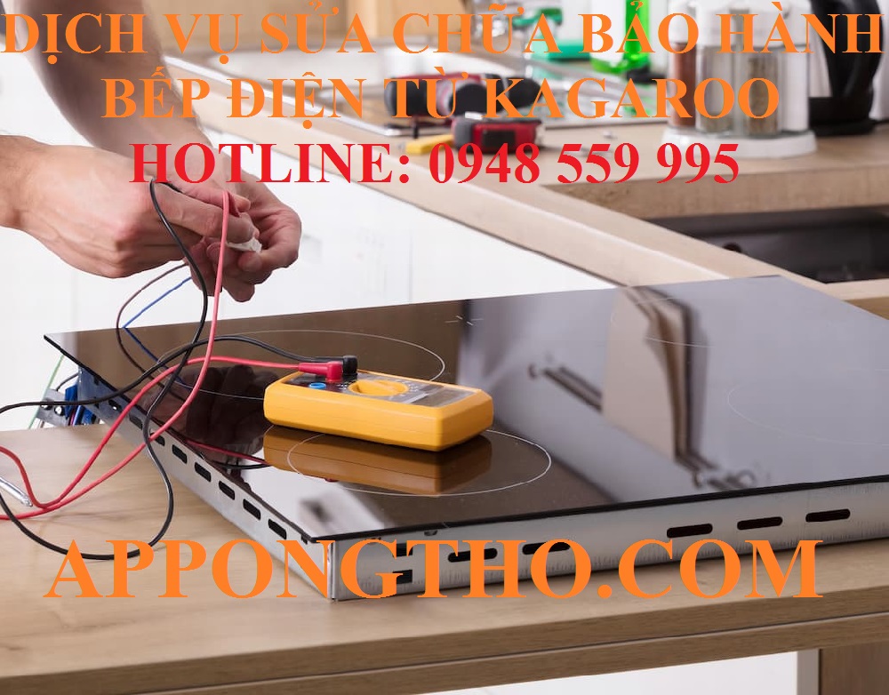 76a272a43824017e1684.jpg