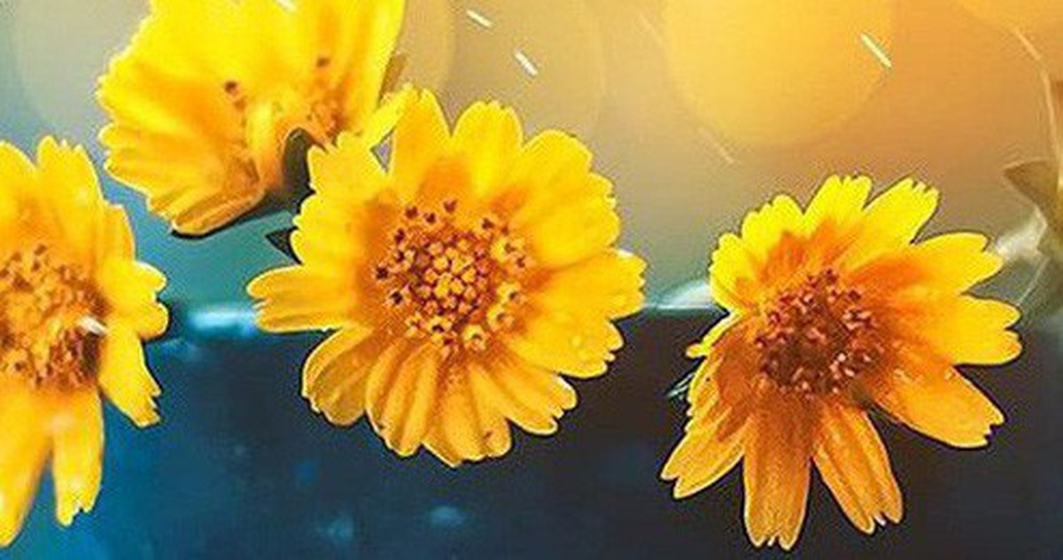 76f6d6820c3e538af5f0.jpg