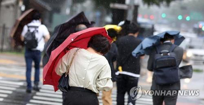 76f9002a950cf83f0cb7.jpg