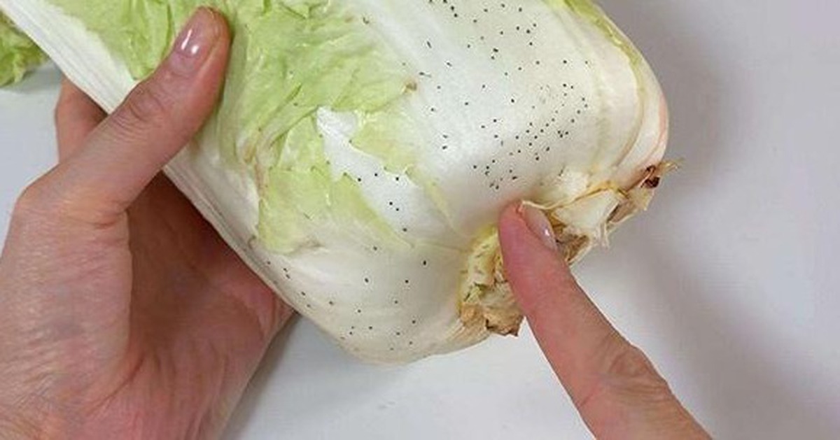 77006855b585323e52a5.jpg