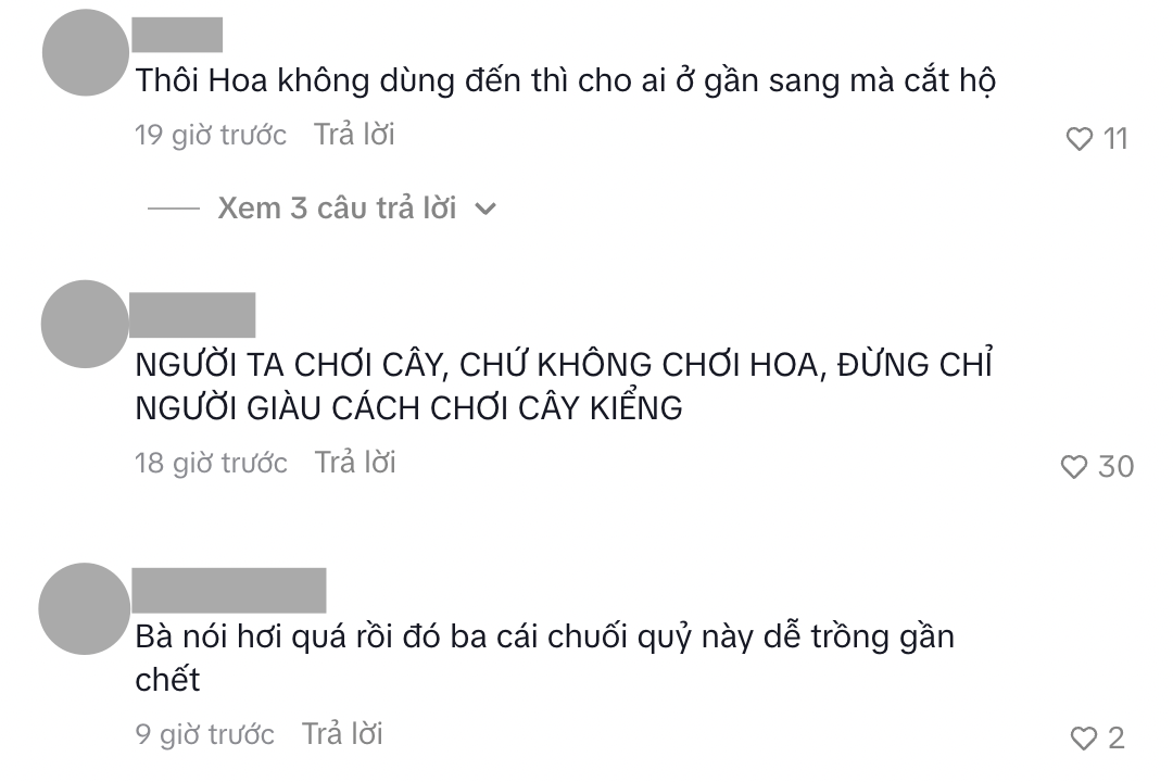 7729dddc485848b3eece.png