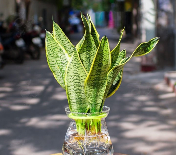 774015d07e864e30fde7.jpg