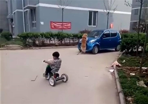77685a7d7935efde1d77.jpg