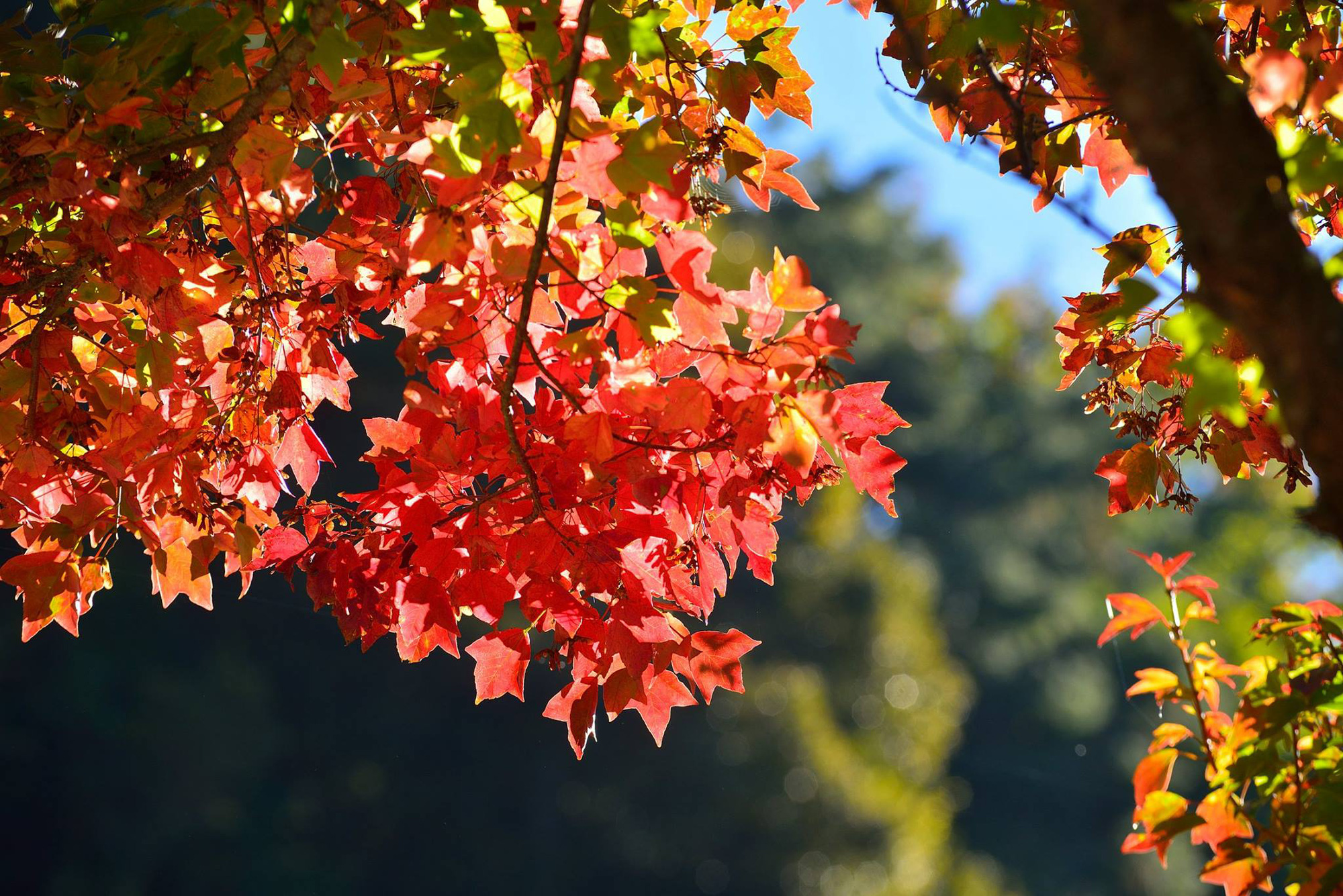 776cb7f097dea404a8a7.jpg
