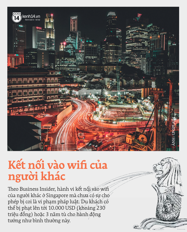777351dfb51e0702a726.png