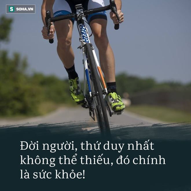77880f00d6392a6aeafc.png
