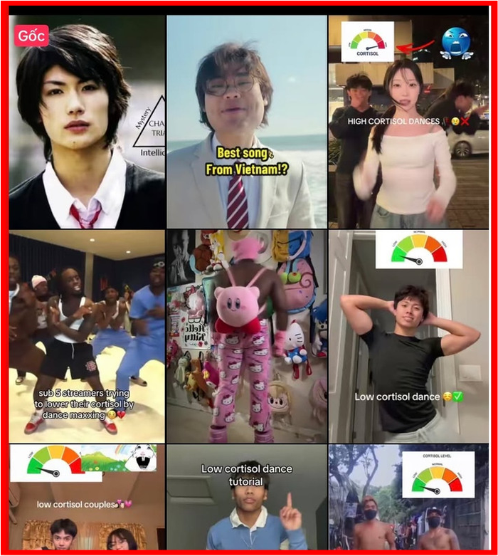77a95fdc0dffd0d59c47.png
