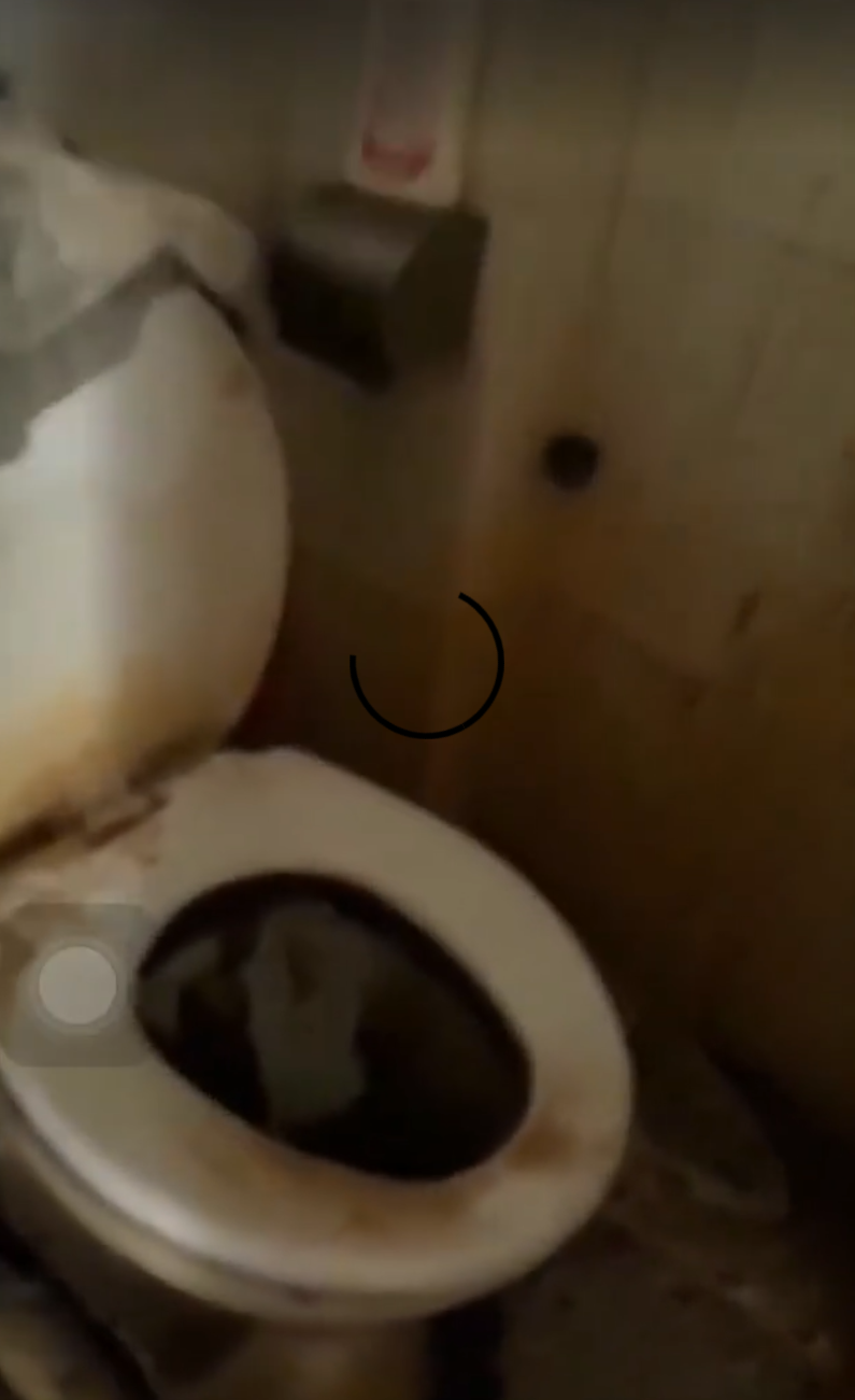 77ed4f096704d0fb62fb.png