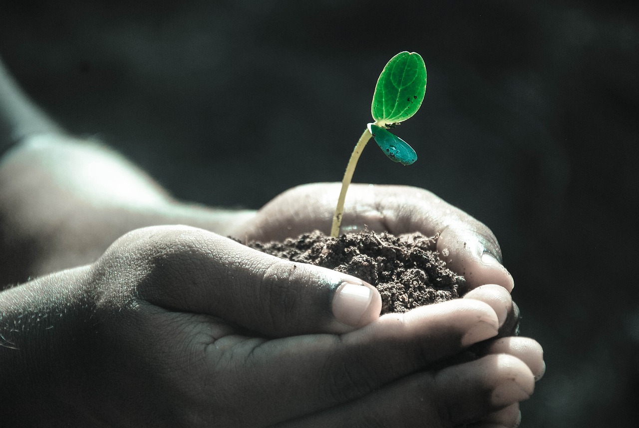 7862f133dec8b38c2b73.jpg