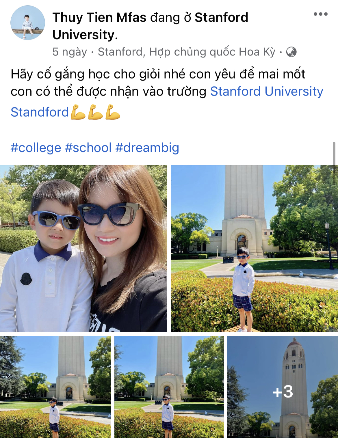 7875fa95909aa0383ca6.jpg