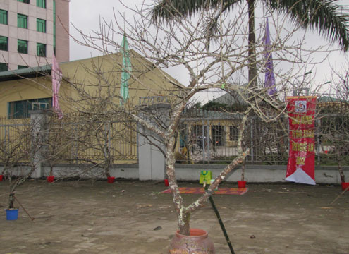 78803c1fd9064d98094f.jpg