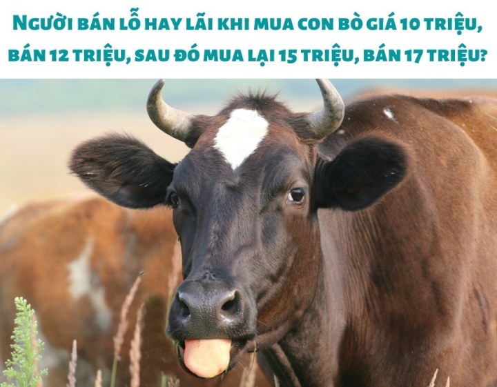 78d87e0a47ddb50aa7cd.png