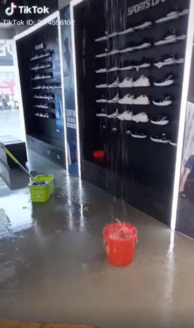 78e6555d11345024b307.jpg