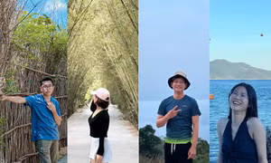 78ea0e3f761db025698a.jpg