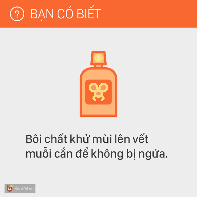 78f239a250e8e6b276b8.jpg