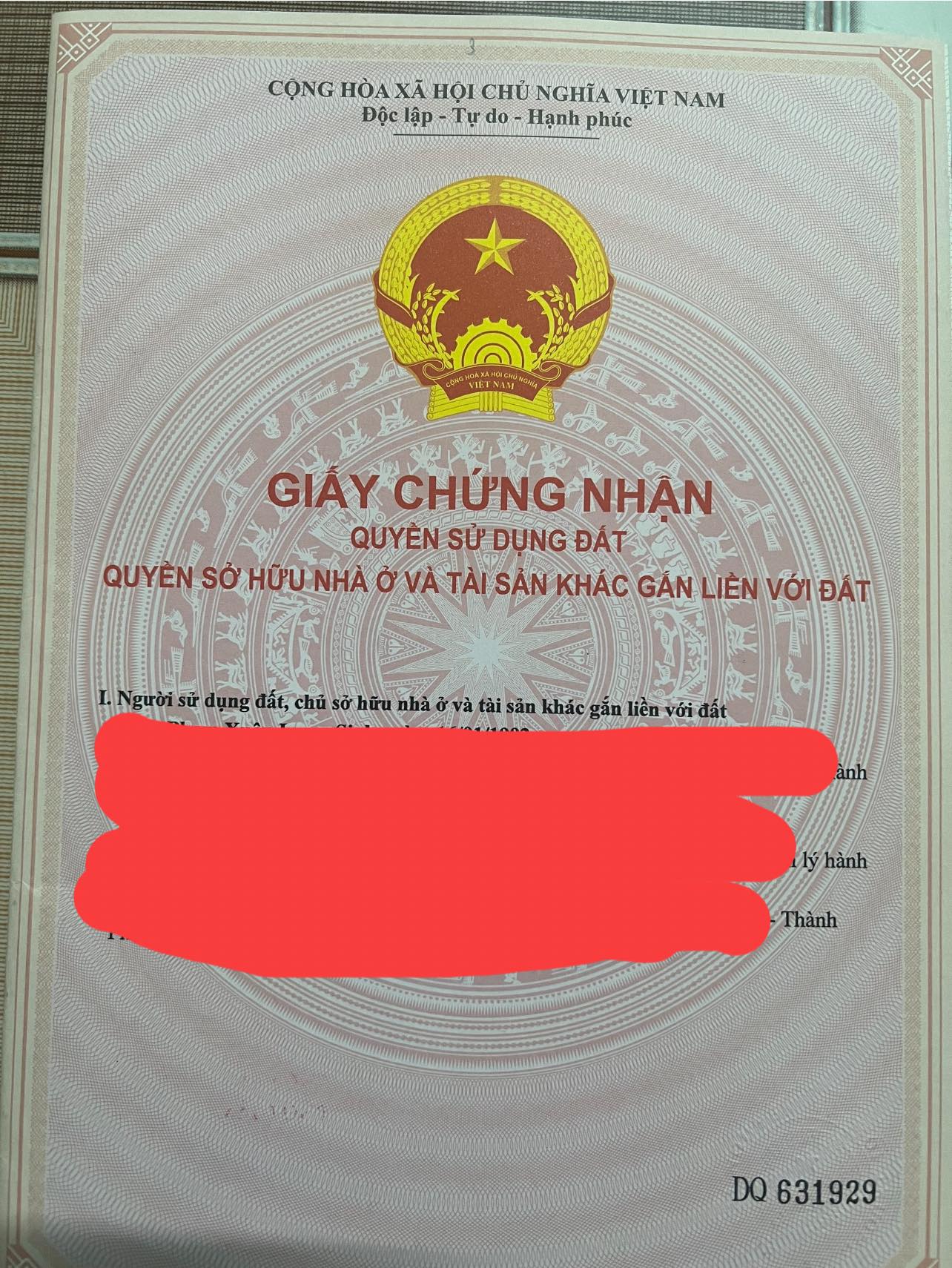 78fee40a0e4e4ec081a3.jpg