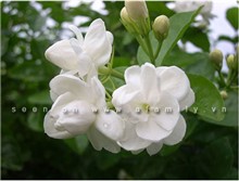790f4911d559c100ebb0.jpg