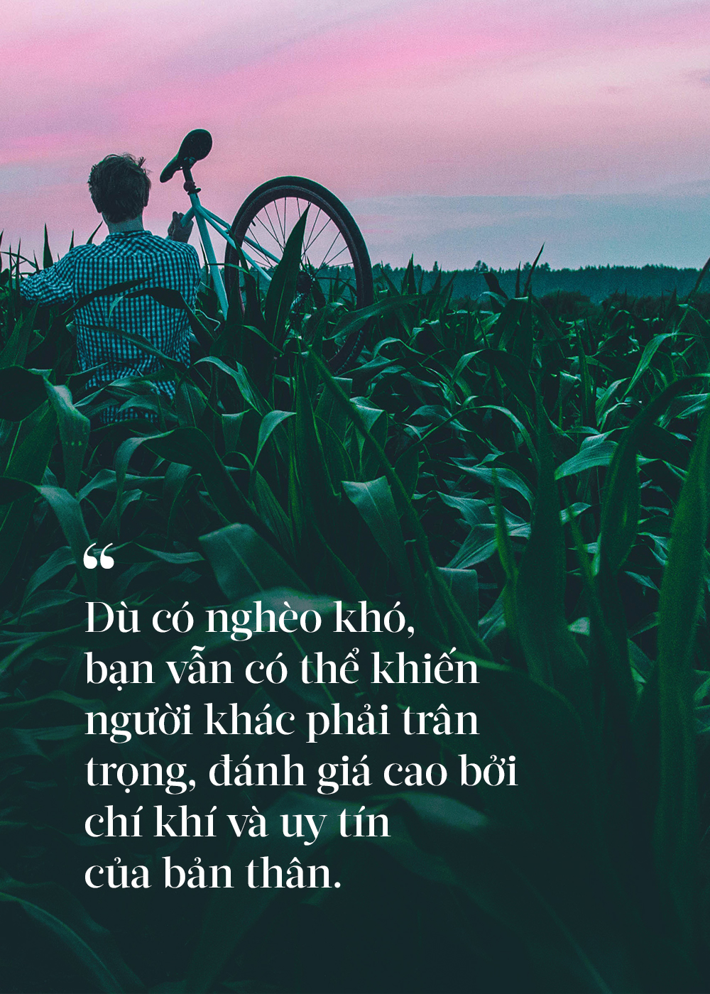 7944db681fe2d4e53c28.jpg