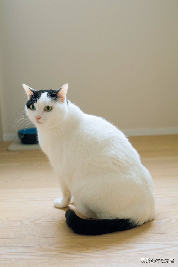 794eebd477d48450453b.png