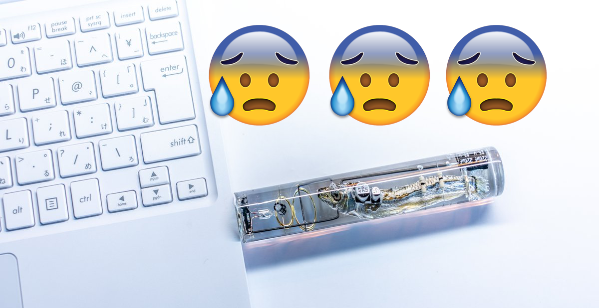 795c27317dedc8d7e87f.png