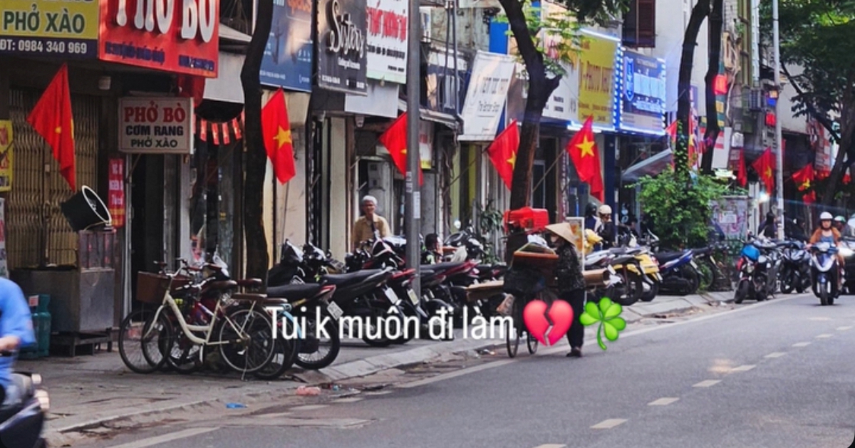 798caa7ad24cd09a025e.jpg