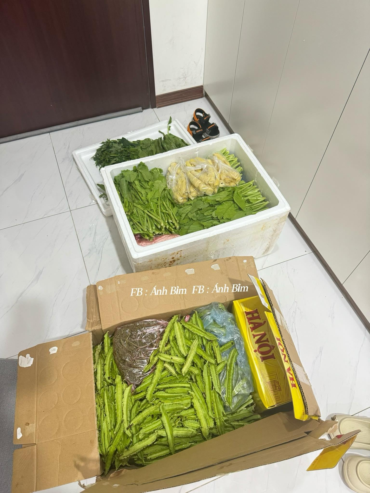 798ff31302884bc2d0ae.png