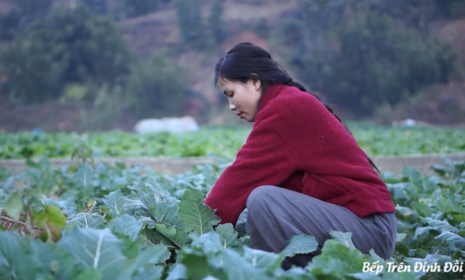 79ae049d26032996ba48.jpg