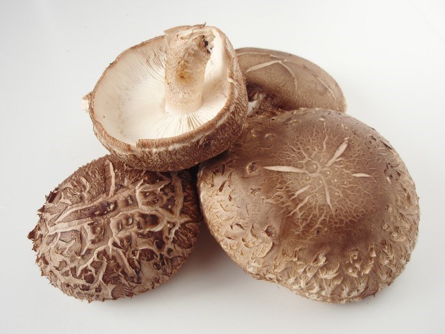 79bafc40308594d8b088.jpg