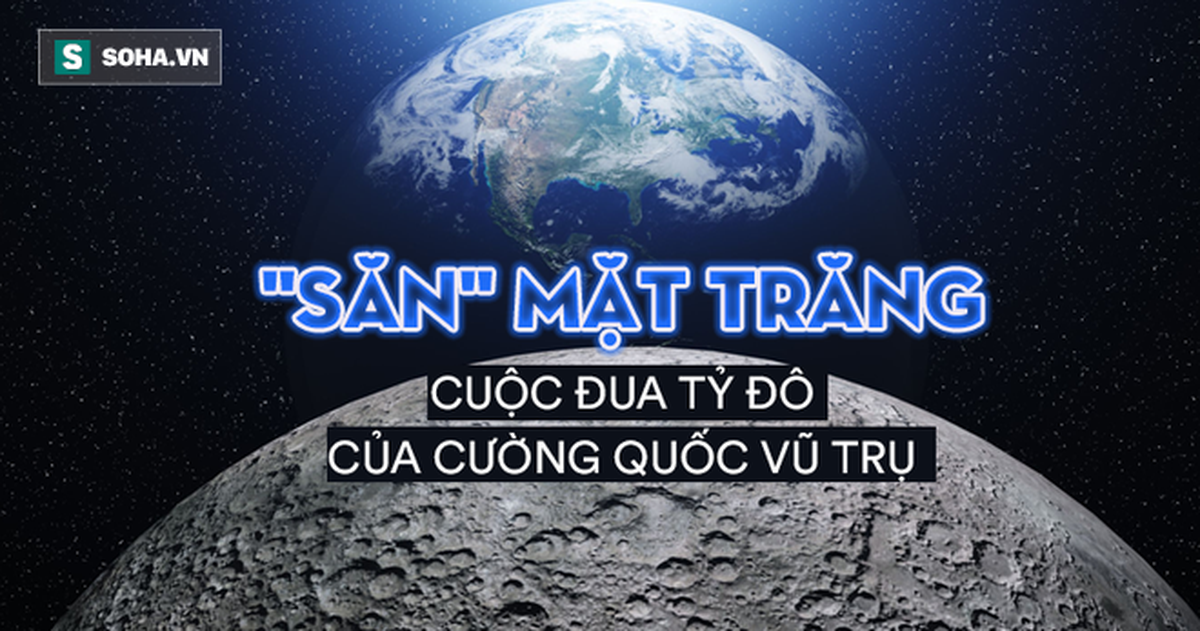 79d7a89cf7ade991d945.png